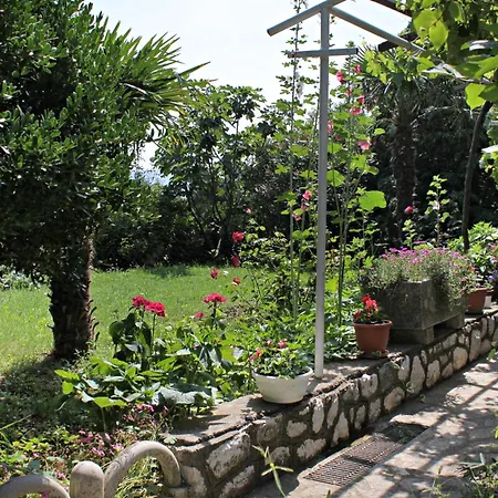 5558b Apartment Novi Vinodolski